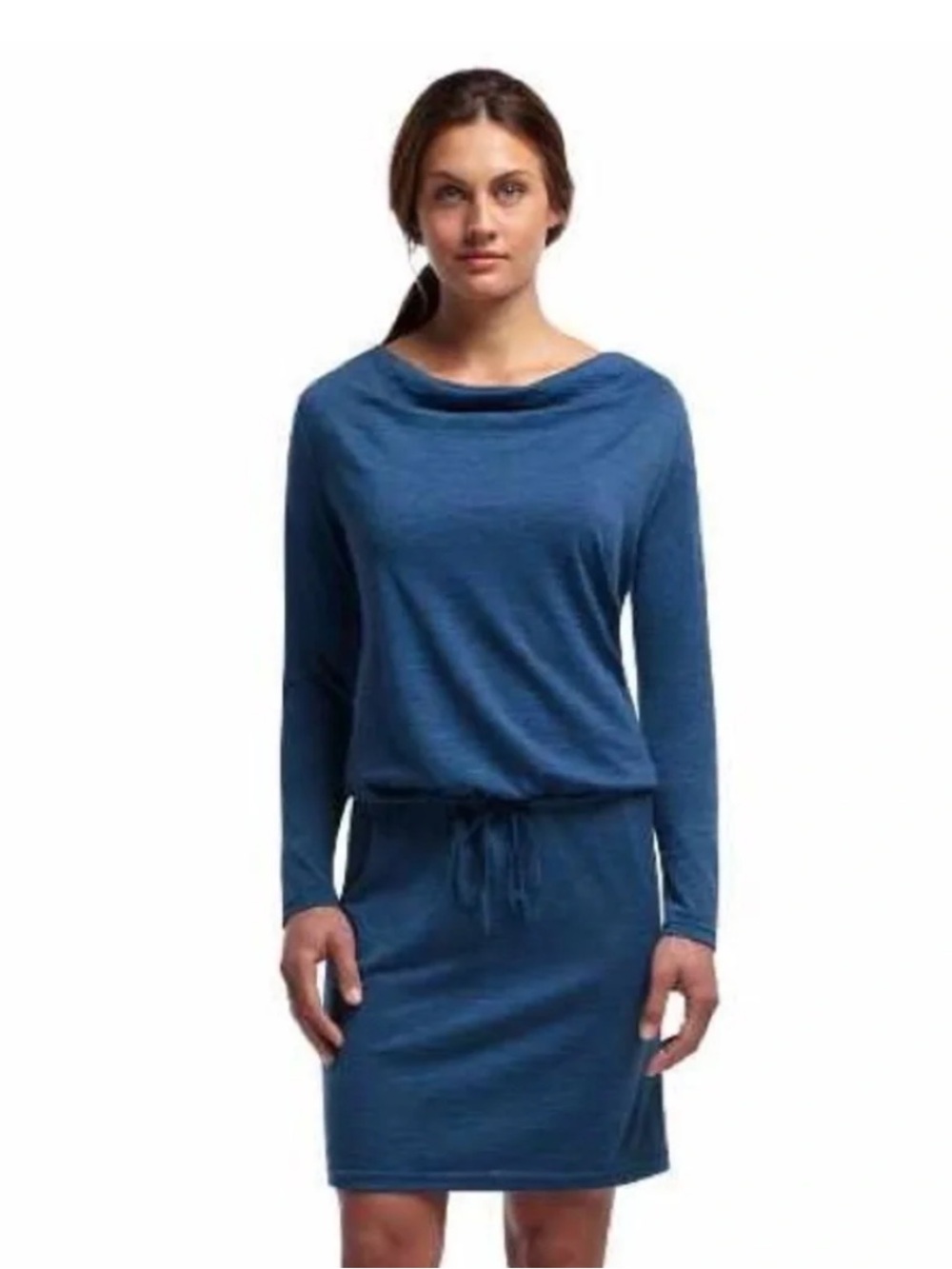 Icebreaker Iris Merino Wool Dress in Blue